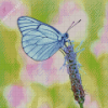 Blue White Butterfly Diamond Painting