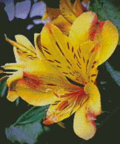 Yellow Alstroemeria Flower Diamond Painting