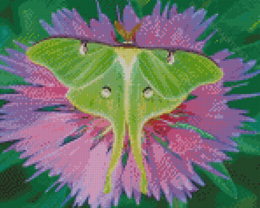 Lunar Moth On Purple Flower Diamond Painting