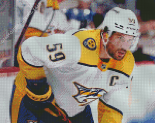 Nashville Predators Diamond Painting