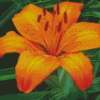 Orange Stargazer Lily Diamond Painting