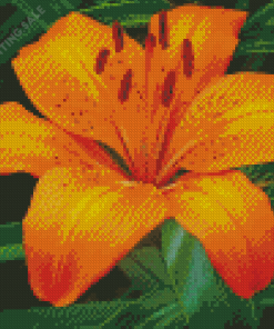 Orange Stargazer Lily Diamond Painting