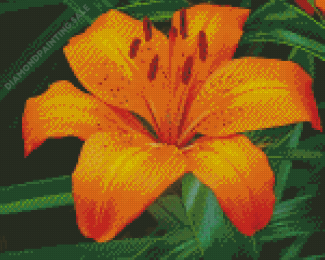 Orange Stargazer Lily Diamond Painting