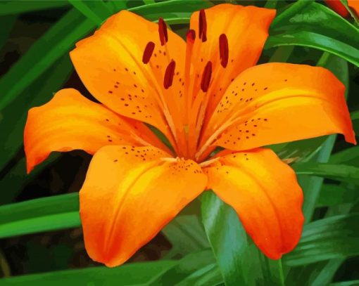 Orange Stargazer Lily Diamond Painting