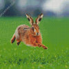Running Hares In The Grass Diamond Painting