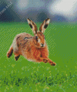 Running Hares In The Grass Diamond Painting