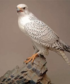 White Gyrfalcon Bird Diamond Painting