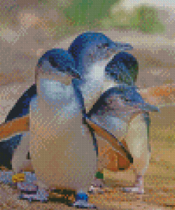 Australian Fairy Penguins Diamond Painting
