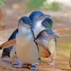 Australian Fairy Penguins Diamond Painting