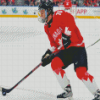 Connor Bedard Ice Hockey Sport Player Diamond Painting