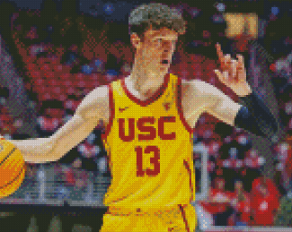 Drew Peterson USC Trojans Basketball Player Diamond Painting