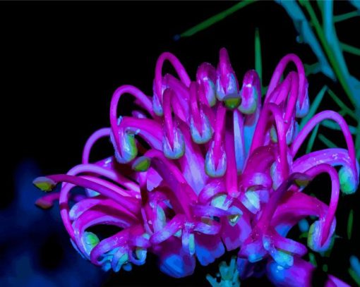 Grevillea At Night Diamond Painting