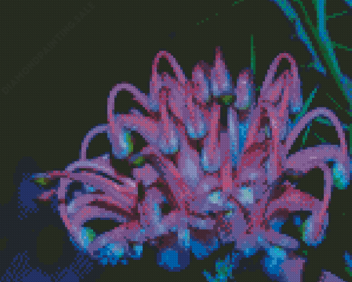 Grevillea At Night Diamond Painting