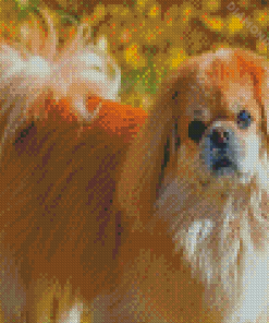 Pekingese Pet Dog Diamond Painting