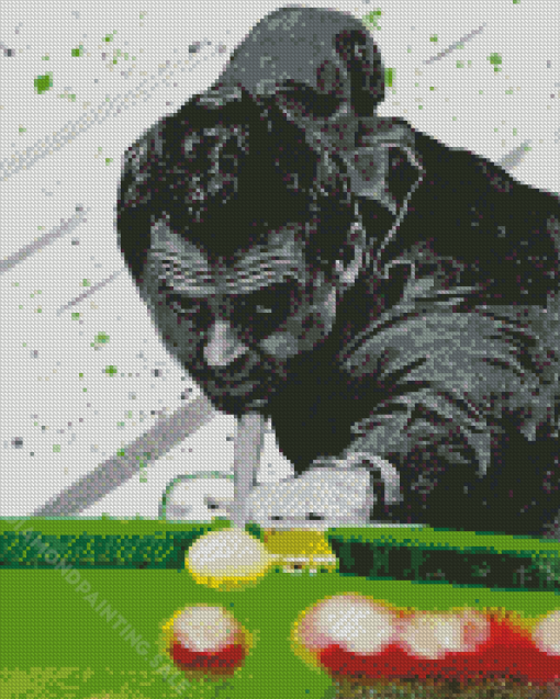 Snooker Player Ronnie Osullivan Art Diamond Painting