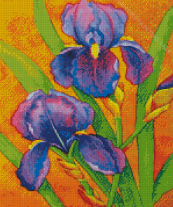 The Bearded Iris Plant Diamond Painting
