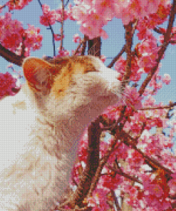 Cat In Cherry Tree Diamond Painting