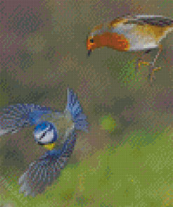 Flying Robin And Blue Tit Birds Diamond Painting