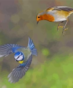 Flying Robin And Blue Tit Birds Diamond Painting