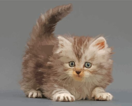 Tabby Persian Kitten Diamond Painting