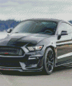 2017 Ford Mustang Shelby GT Diamond Painting