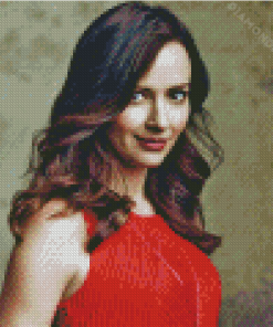 Amy Acker In Red Diamond Painting