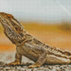 Bearded Dragons Diamond Painting