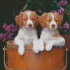 Brittany Puppies Dogs Diamond Painting