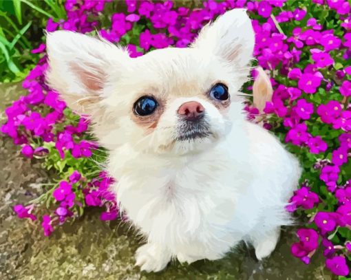 Chihuahua With Purple Flowers Flowers Diamond painting