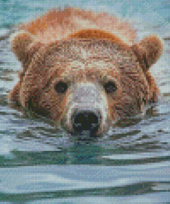 Close Up Bear Head In Water Diamond Painting
