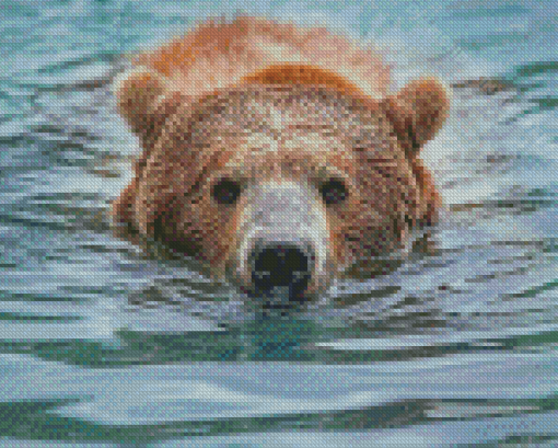 Close Up Bear Head In Water Diamond Painting