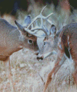 Deer Fighting Animals Diamond Painting