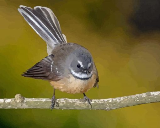 Fantail Bird Diamond Painting