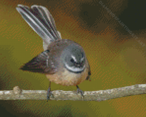 Fantail Bird Diamond Painting