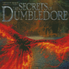 Fantastic Beasts Secrets Of Dumbledore Film Poster Diamond Painting