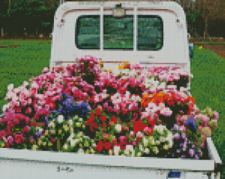 Flowers In Back Of White Truck Diamond Painting