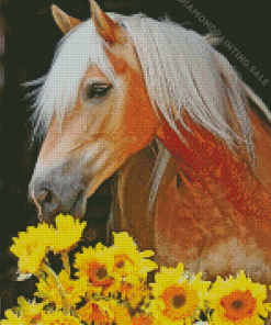 Haflinger Horse And Sunflowers Diamond Painting