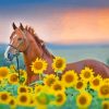 Horse In Sunflowers Diamond Painting