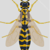 Illustration Yellowjacket Diamond Painting