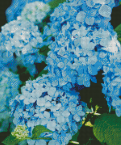 Pastel Blue Hydrangea Flowers Diamond Painting