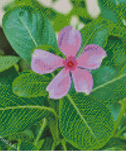 Periwinkle Flower Diamond Painting
