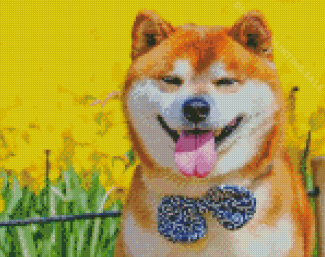 Shiba With Yellow Flower Field Diamond Painting