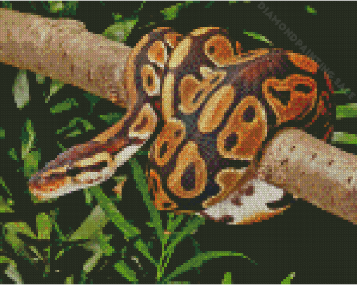 The Ball Python Snake Diamond Painting
