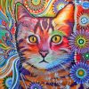 Abstract Cat Diamond Painting