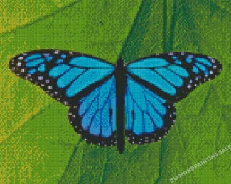 Aesthetic Blue Buttefly Diamond Painting