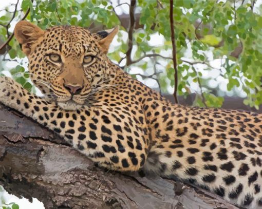 Aesthetic Leopard In Tree Diamond Painting