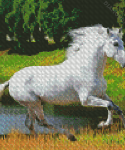 Aesthetic White Horse Diamond Painting