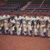 Brooklyn Dodgers Players Diamond Painting