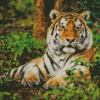 Cool Bengal Tiger Diamond Painting