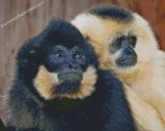 Gibbons Monkeys Diamond Painting
